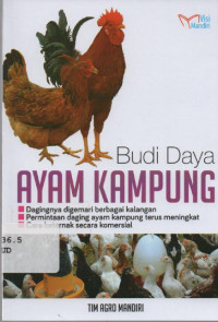 Budi Daya Ayam Kampung